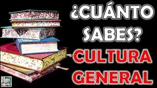 31 Preguntas de 