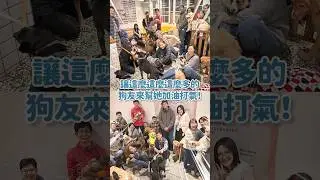 超多朋友的格林回家了！來跟大家報平安啦！！🫶🏻🫶🏻🫶🏻