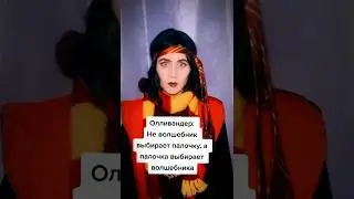 #волшебнаяпалочка #гаррипоттер #хогвартс #книги #олливандер