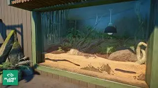 Real-Time Build - No Speak | Planet Zoo Exhibit