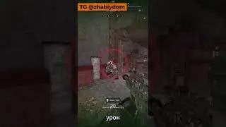 ЗАТЕСТИЛ BERETTA ARX-160 +15! |  #stalcraft #gaming #stalcraftx #игры #игры #shorst  #gameplay