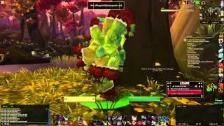Weird WoD bug