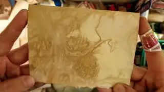 Eco dying | Boiled Paper