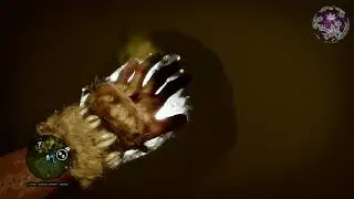 Far Cry Primal - Daysha Hand Location { East Cave Of Hasari }