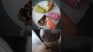 Funny ice creams  #funny #mastervideo #chipichipichapachapadubidubidabadaba