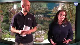 FB Live: Shark Awareness Day!