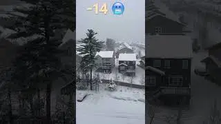 Winter in Halifax Canada Nova Scotia 🇨🇦 🥶🤦🏻&zwj;♂️