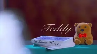 Teddy By Zamm Wong & Magic Action