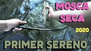 Primer SERENO 2020 pesca TRUCHA postCOVID19 !!! - MOSCA seca