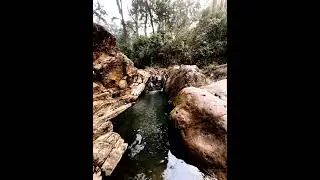 Hidden Treasure #waterfall #ponds #treasure #junglebook