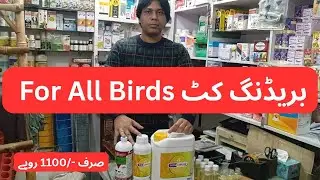 Imported Breeding Formula | Intracalferol + Turbo Gold | انڈوں بچوں کی لائن لگے | 