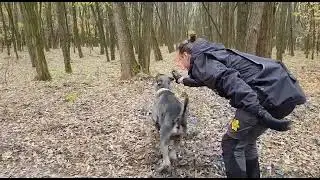 Luke SAR area search at Hajd&uacute;szoboszl&oacute;