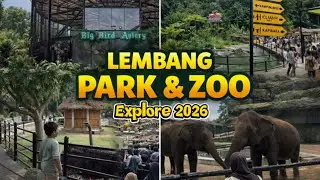 SEHARIAN BERSAFARI DI LEMBANG PARK & ZOO | Review Kebun Binatang Paling Rame di Bandung