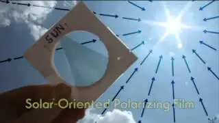 bijendans