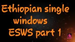 ETHIOPIAN SINGLE WINDOWS SYSTEM