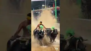 Vamanjoor Naveen Chandra Alverna Kana Palaida Yerukulu
