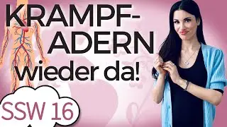 SSW 16: Oh Nein! Jetzt kommen die Krampfadern in der Schwangerschaft | Mein Kinderwunsch