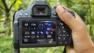 Best Entry Level DSLR | Canon EOS 750D Full Review | Best Budget DSLR In Hindi
