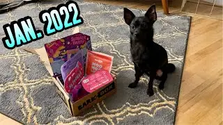 JANUARY 2022 BARK BOX UNBOXING | SMALL DOG