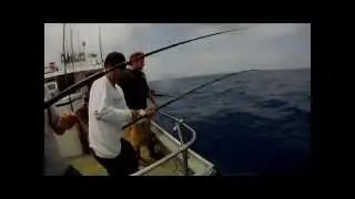 TORRES CHARTER - IVAN YELLOWTAIL SEQUENCE