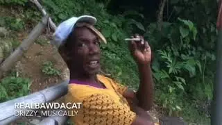 RealBawdaCat Instagram compilation[Funny video]MUST WATCH