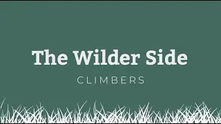 The Wilder Side | Climbers