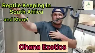 Eckhard from Ohana Exotics!