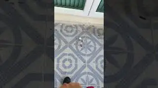 Exterior Tile Patio Cleaning! #pressurewashing #softwashing #drivewaycleaning #surfacecleaning