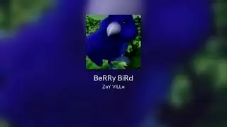 BeRRy BiRd (Type Beat)