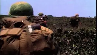 Soldiers walking through the fields during Operation Delaware. HD Stock Footage