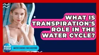 What Is Transpiration's Role In The Water Cycle? - Water Science For Everyone