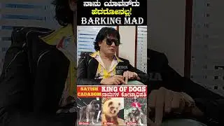 100 Crores Worth Donkey Size DOG Launch by Barking Mad Satish Cadabom, King of Dogs..