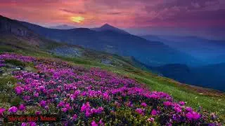 Fast Songs of Pop Artists/Best Pop Songs/Beautiful Pop Songs of Best Artists