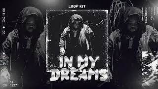 [FREE] Rod Wave Loop Kit | Toosii Loop Kit - 
