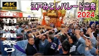 赤羽馬鹿祭り2024　江戸みこしパレード　三角公園出発　むつ龍神輿①　
