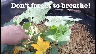 The Grand Solar Minimum, Food & You on The Road Report - Food (041)