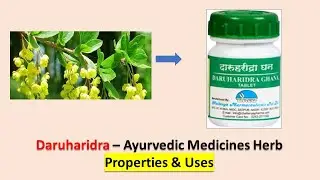 STOP Using Harsh Chemicals For Psoriasis Try Berberis Aristata Instead