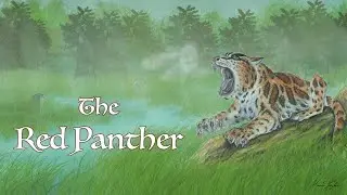 Красная пантера: самый успешный саблезубый кот Каймере