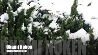 Gran Nevada en Japon