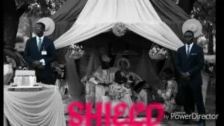 SHIELD EVENT SECURITY & PROTOCOL SERVICES