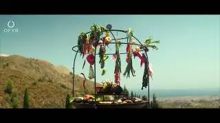 Show cooking with the OFYR Cage