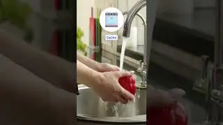 Calefont o Termo 🔥 &iquest;Cu&aacute;l es mejor?