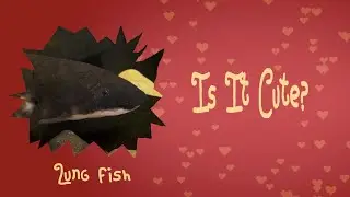 Lungfish, the fish that can breathe air but are they cute?