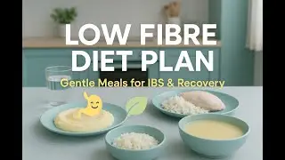 &ldquo;Low Fibre Diet Plan : Gentle Meal Ideas for IBS, Crohn&rsquo;s & Digestive Recovery&rdquo;