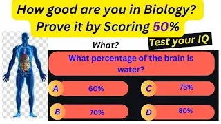 General knowledge questions on the unique features of human body #Travel#Quiz#humanbody