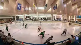 TEMPORADA 6 - jornada 6 - Ice Wings vs Chiefs - SOY HOCKEY LEAGUE!