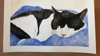 Carl From Gott Love- TIMELAPSE