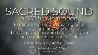 Sacred Sound Healing: 528 Hz Chakra and Auric Field Clearing Meditation