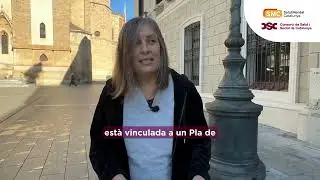 Testimonis de les Taules de Salut Mental