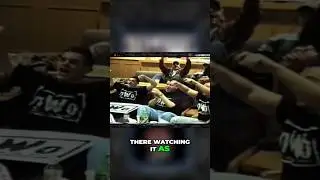 If Pro Wrestling programming is actually good...